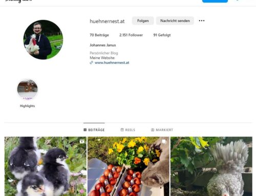 Hühnernest ist nun auf Instagram