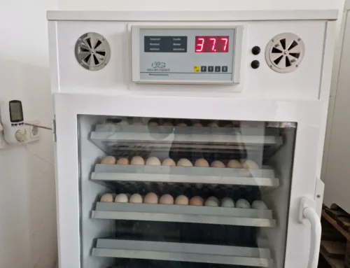 Neuer Motorbrüter von HEKA-Brutgeräte