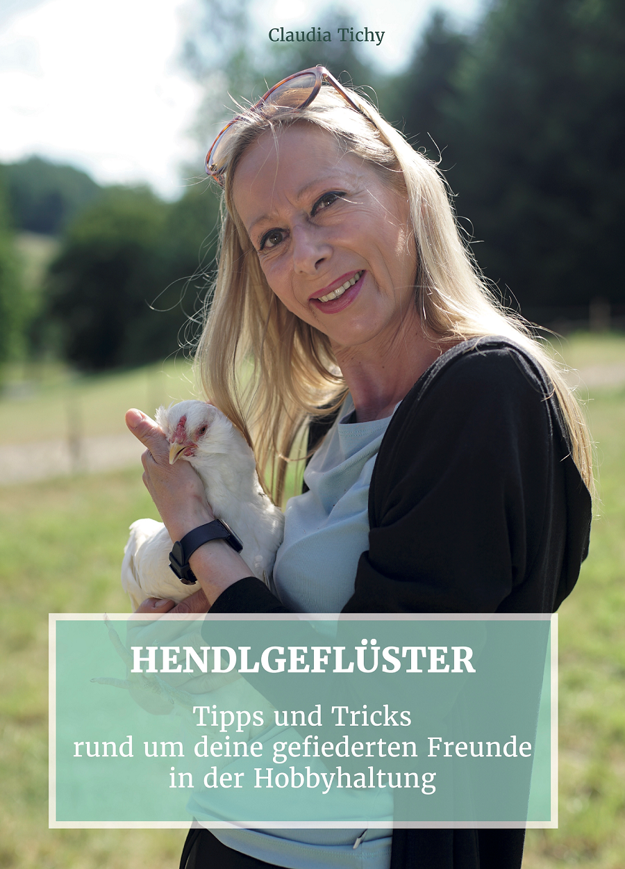 hendlgefluester_buch