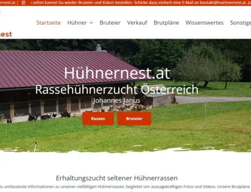 Große Freude: Die Neue Hühnernest-Website ist online! 🎉