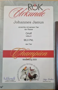 Urkunde Bundeschampion 2025 für Orloff rotbunt