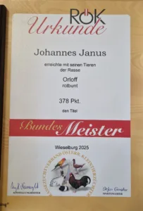 Urkunde Bundesmeister 2025 für Orloff rotbunt